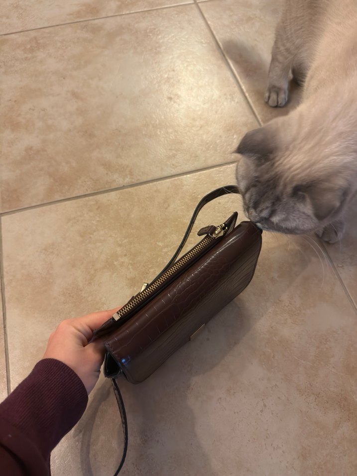 Mango Kahverengi Deri Yılan Desenli Tokalı Çanta - Görsel 5