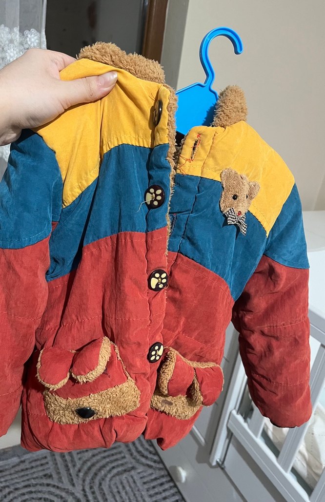 Çok Renkli Kapüşonlu Erkek Çocuk Mont - Görsel 2