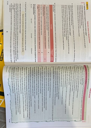 8. Sınıf hız yayınları türkçe test kitabı - Görsel 3