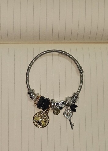 çelik pandora charm bileklik