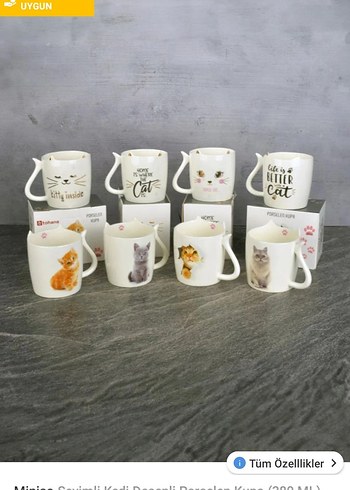 Beyaz Kedi Temalı porselen Kupa - Görsel 4