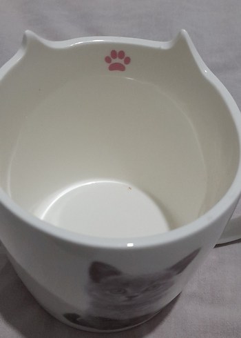 Beyaz Kedi Temalı porselen Kupa - Görsel 3