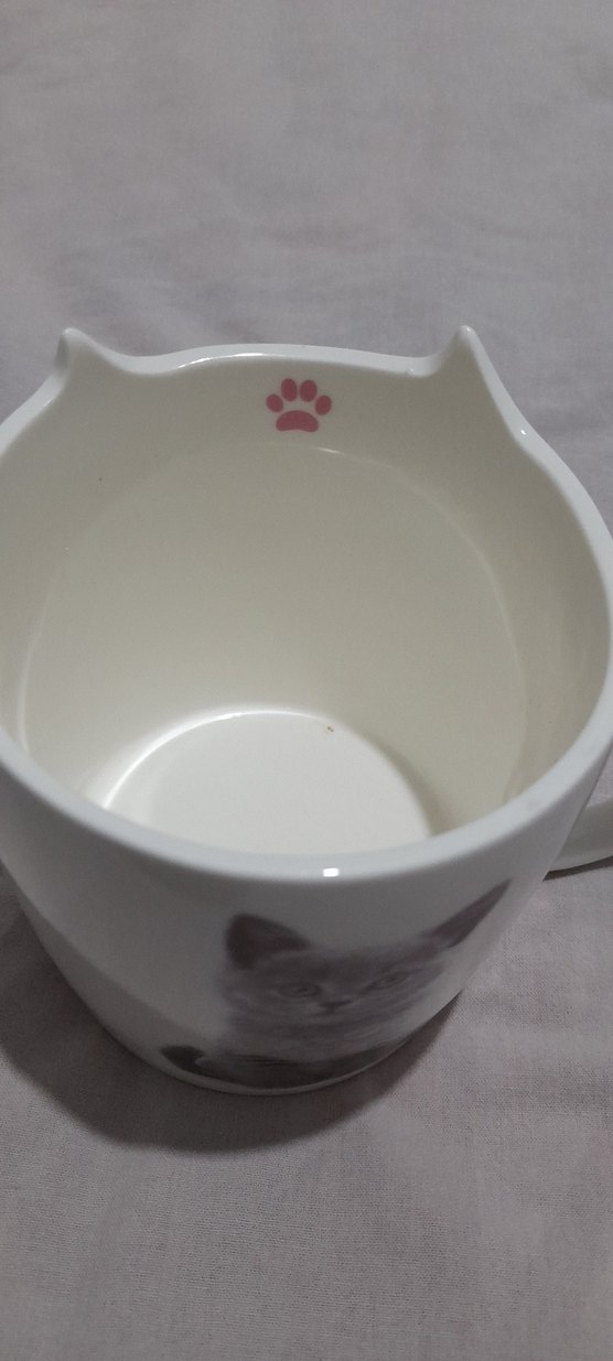 Beyaz Kedi Temalı porselen Kupa - Görsel 3