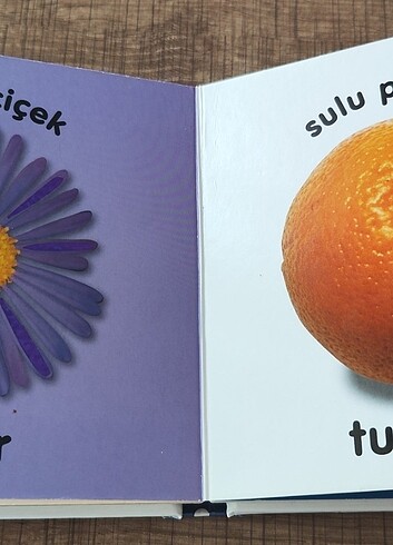 Beden Bebek Dokun Hisset Kitapları Evcil Hayvanlar & Renkler ve Şekill