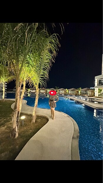 Diğer Leopar takım