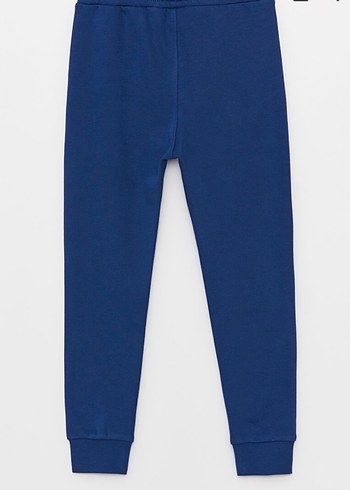 Erkek Çocuk Dinozor Baskılı Fermuarlı eşofman takım - Görsel 4