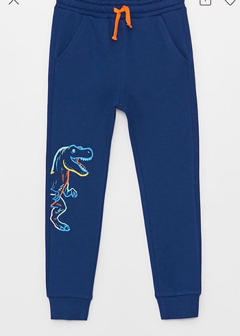 Erkek Çocuk Dinozor Baskılı Fermuarlı eşofman takım - Görsel 3