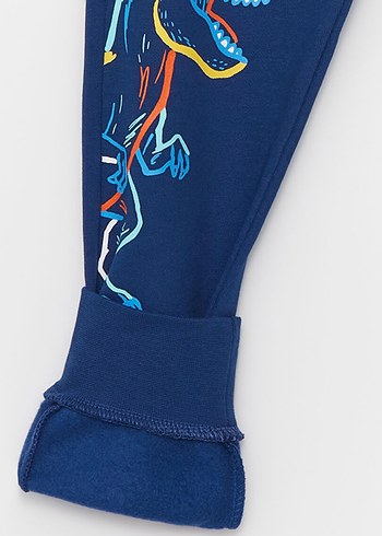 Erkek Çocuk Dinozor Baskılı Fermuarlı eşofman takım - Görsel 5