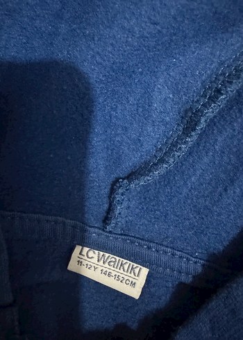 Erkek Çocuk Dinozor Baskılı Fermuarlı eşofman takım - Görsel 11