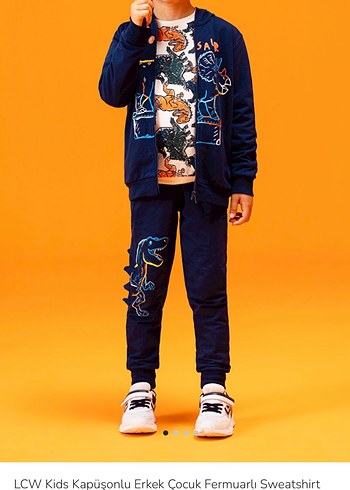 Erkek Çocuk Dinozor Baskılı Fermuarlı eşofman takım - Görsel 9