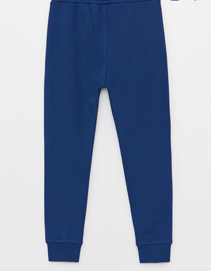 Erkek Çocuk Dinozor Baskılı Fermuarlı eşofman takım - Görsel 4