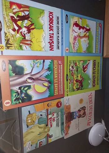 Seçme Çocuk Klasikleri Kitap Seti - Görsel 2