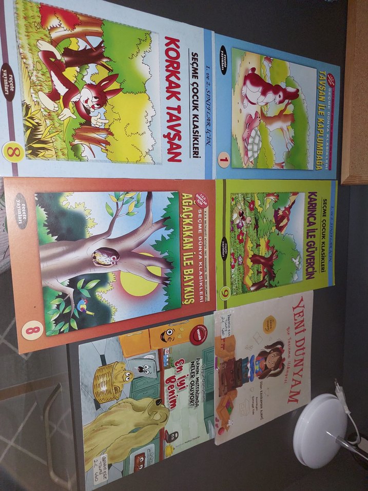 Seçme Çocuk Klasikleri Kitap Seti - Görsel 2