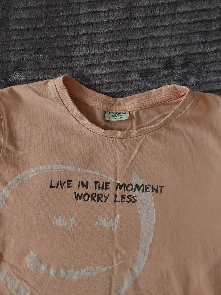 lcw Baskılı yavruagzi Erkek Tişört - Görsel 2