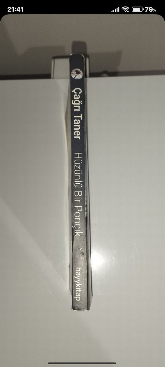 Hüzünlü Bir Ponçik - Çağrı Taner - Görsel 3