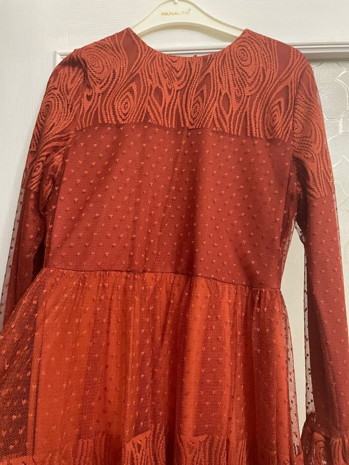 Kadın Turuncu Renk Dantel Işlemeli Tesettür Elbise - Görsel 2