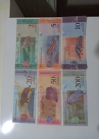 Venezuela Bolivar Seti 6 Adet Çil Koleksiyonluk