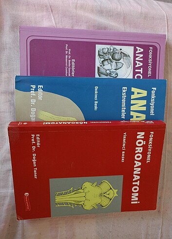 Anatomi set