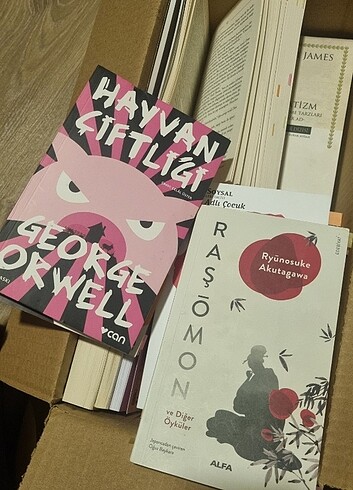  Kullanılmış Kitap