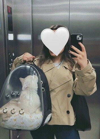 Kedi köpek taşıma çantası 
