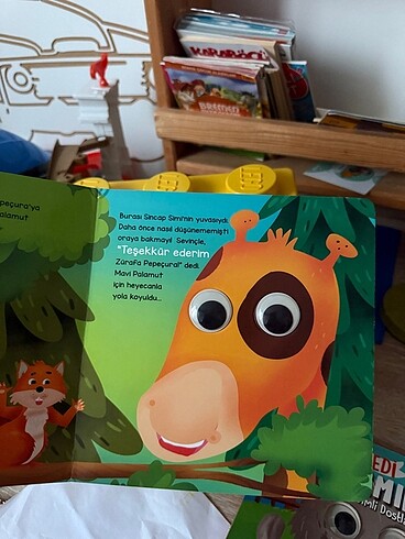 Beden sevimli kitap