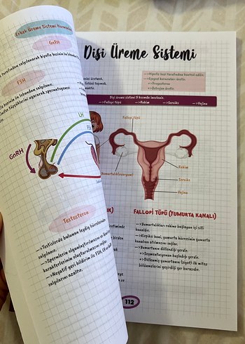  Rota Biyoloji Öğreten Defter AYT Hazırlık Kitabı