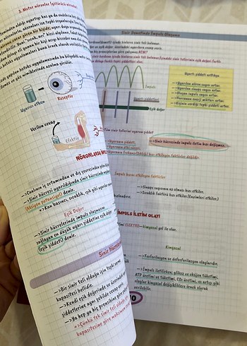  Beden Rota Biyoloji Öğreten Defter AYT Hazırlık Kitabı