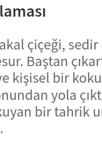 Gucci Gucci Guılty parfüm