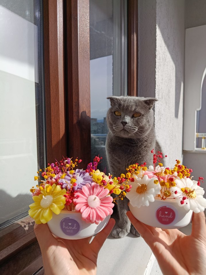 Renkli Çiçek Tasarımlı Dekoratif Mumlar - Görsel 3