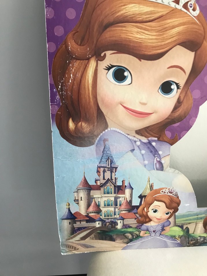 Elsa Prenses Sofia doğumgünü süsü çerçeve kostüm - Görsel 4