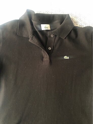 42 Beden Orjinal Lacoste bluz