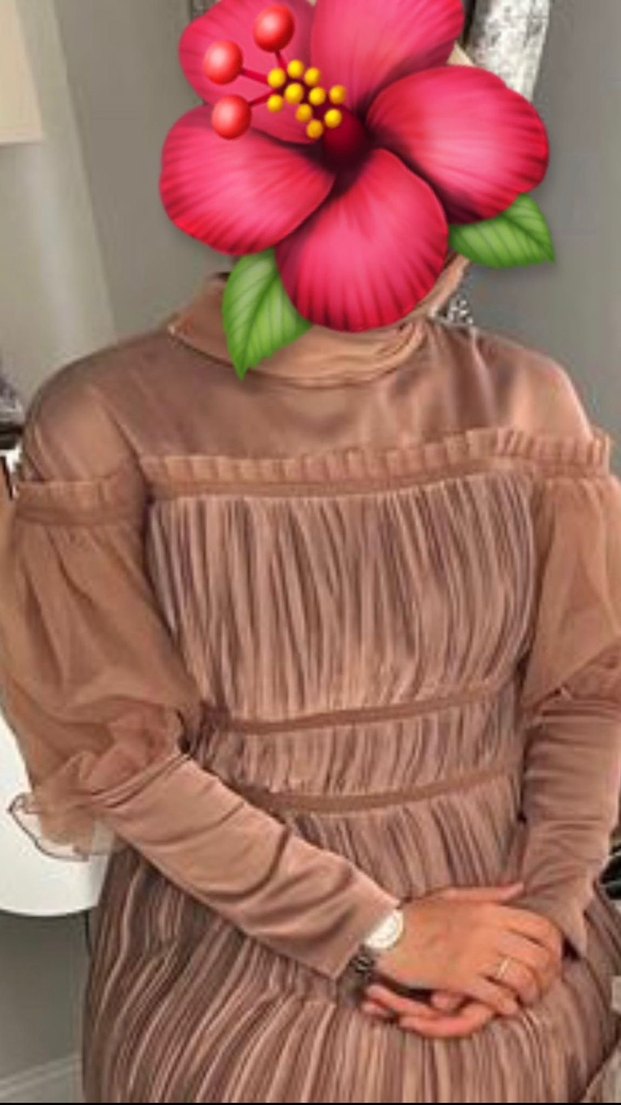 Bej Pileli Uzun Abiye Elbise - Görsel 3