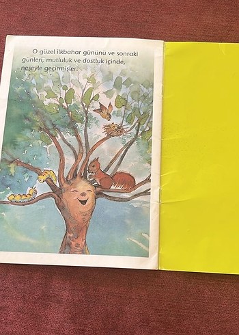 Dünyanın En Güzel Ağacı - Aytül Akal - Görsel 3