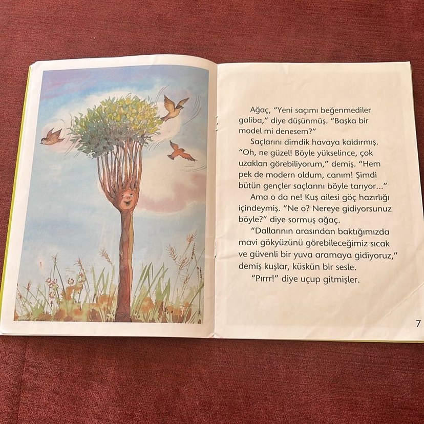 Dünyanın En Güzel Ağacı - Aytül Akal - Görsel 2