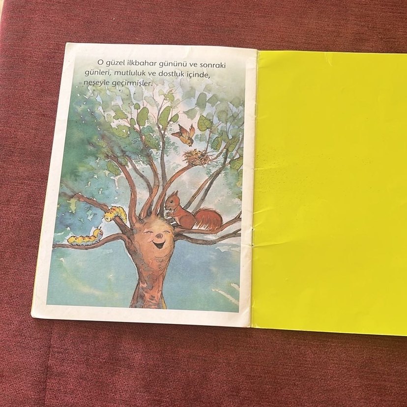 Dünyanın En Güzel Ağacı - Aytül Akal - Görsel 3