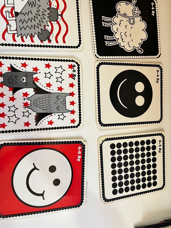 Bebeğim Elik Kartları - Eğitici Flash Kart Seti - Görsel 5