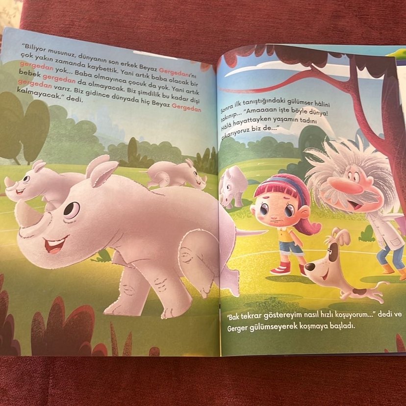 Çocuklar için Dinozor ve Gergedan Kitapları - Görsel 3
