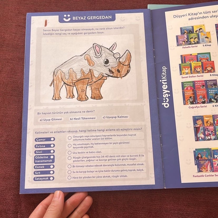 Çocuklar için Dinozor ve Gergedan Kitapları - Görsel 2