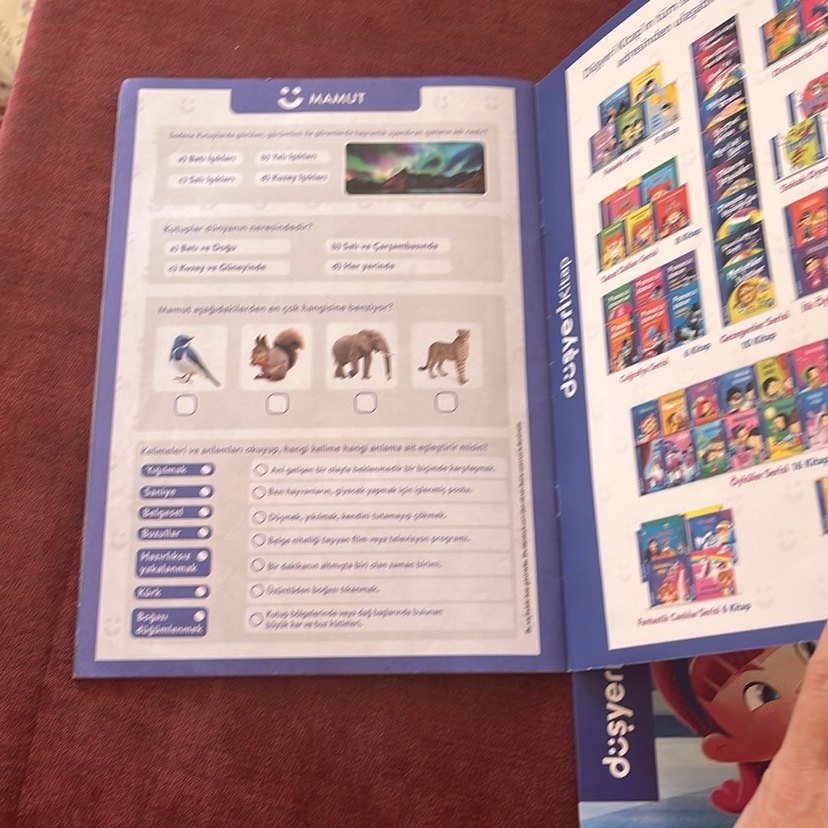 Buz Dev ve Kedilerin Atası Çocuk Kitapları - Görsel 3