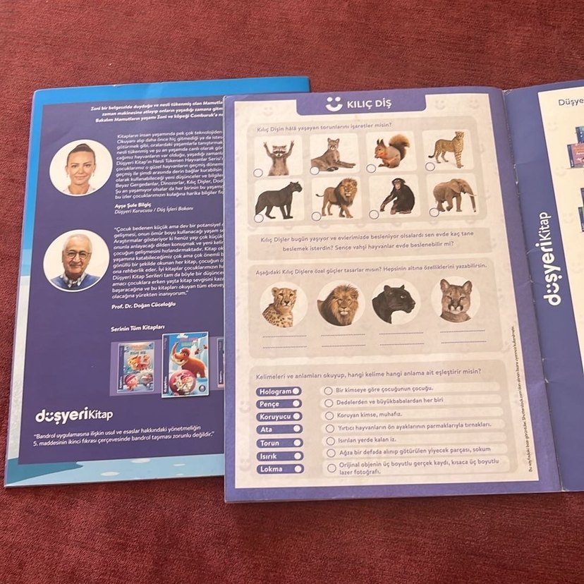 Buz Dev ve Kedilerin Atası Çocuk Kitapları - Görsel 5