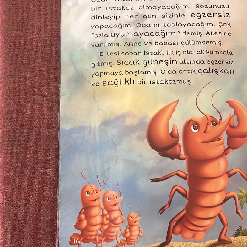 Değerler Okyanusu Çocuk Kitapları Seti - Görsel 5