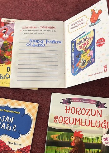 Çocuk Kitapları Seti: Dikkatli Biçirik ve Diğerleri - Görsel 5