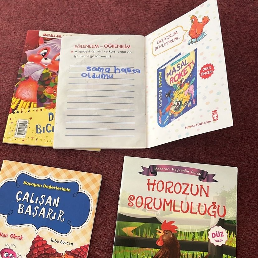 Çocuk Kitapları Seti: Dikkatli Biçirik ve Diğerleri - Görsel 5