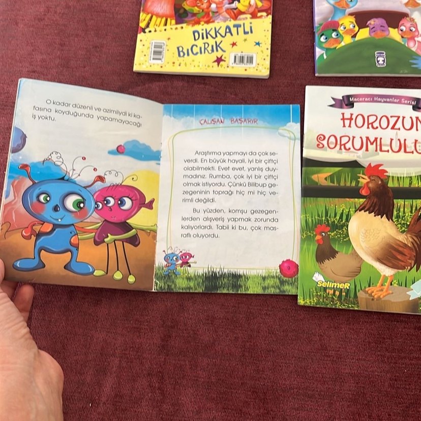 Çocuk Kitapları Seti: Dikkatli Biçirik ve Diğerleri - Görsel 2