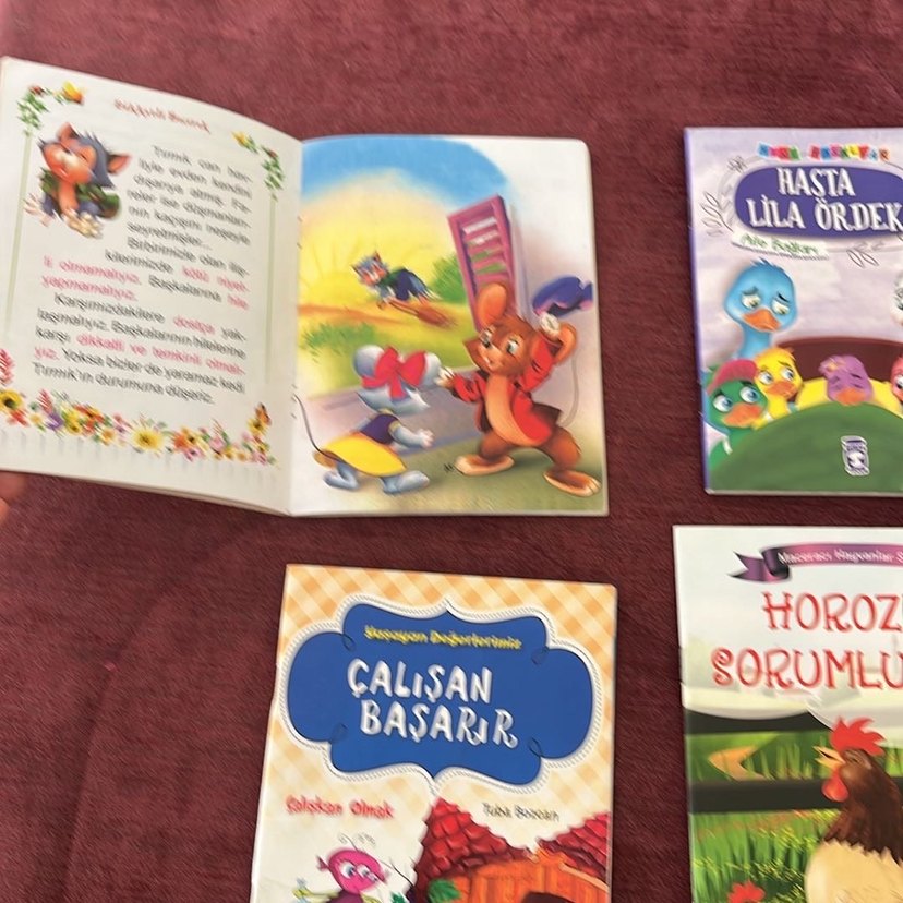 Çocuk Kitapları Seti: Dikkatli Biçirik ve Diğerleri - Görsel 3