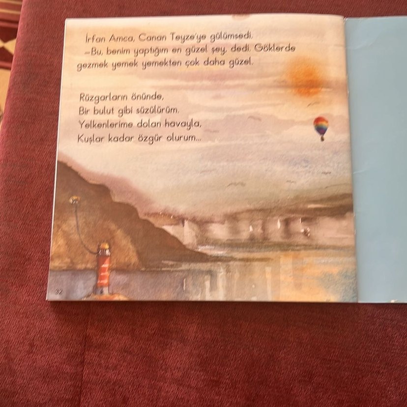 Deniz Kıyısında Piknik Çocuk Kitabı - Görsel 3