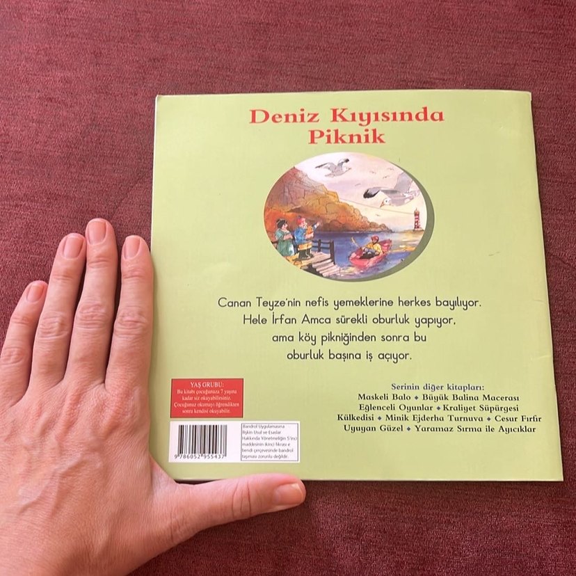 Deniz Kıyısında Piknik Çocuk Kitabı - Görsel 4
