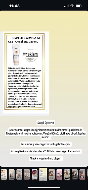 At kestanesi
