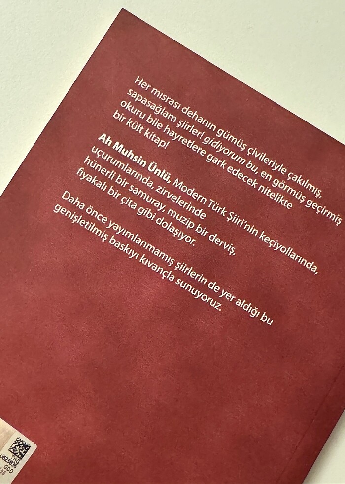 Gidiyorum Bu - Ah Muhsin Ünlü - Görsel 2