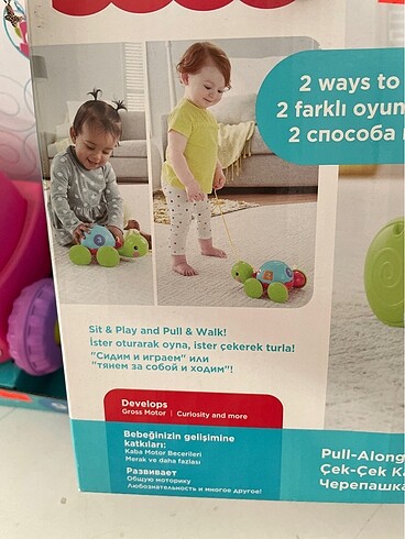  Beden Renk Fisher price çek çek kaplumbağa